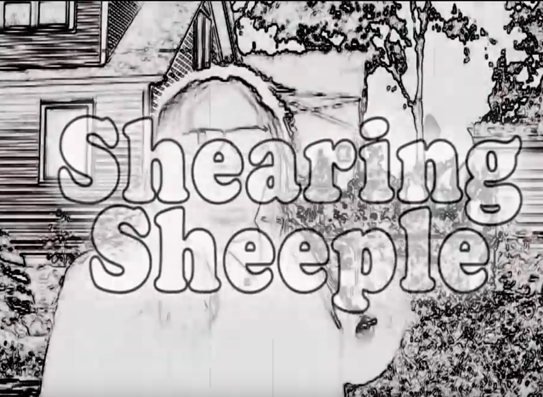Shearing “Sheeple”